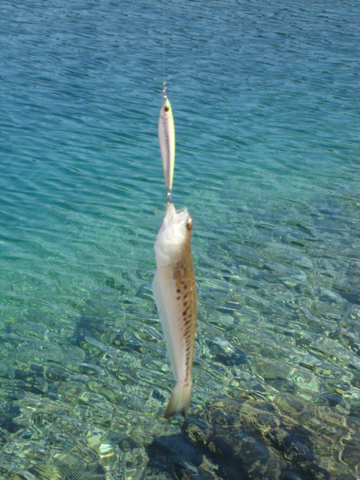 Shore jigging - foto povečava