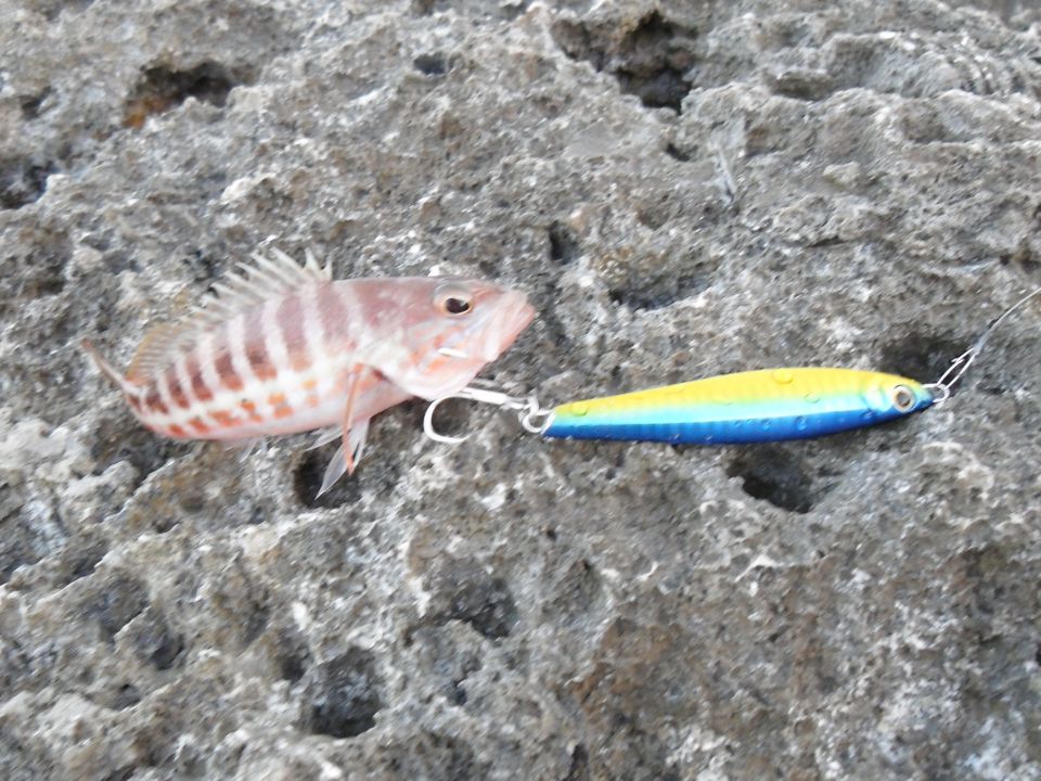 Shore jigging - foto povečava