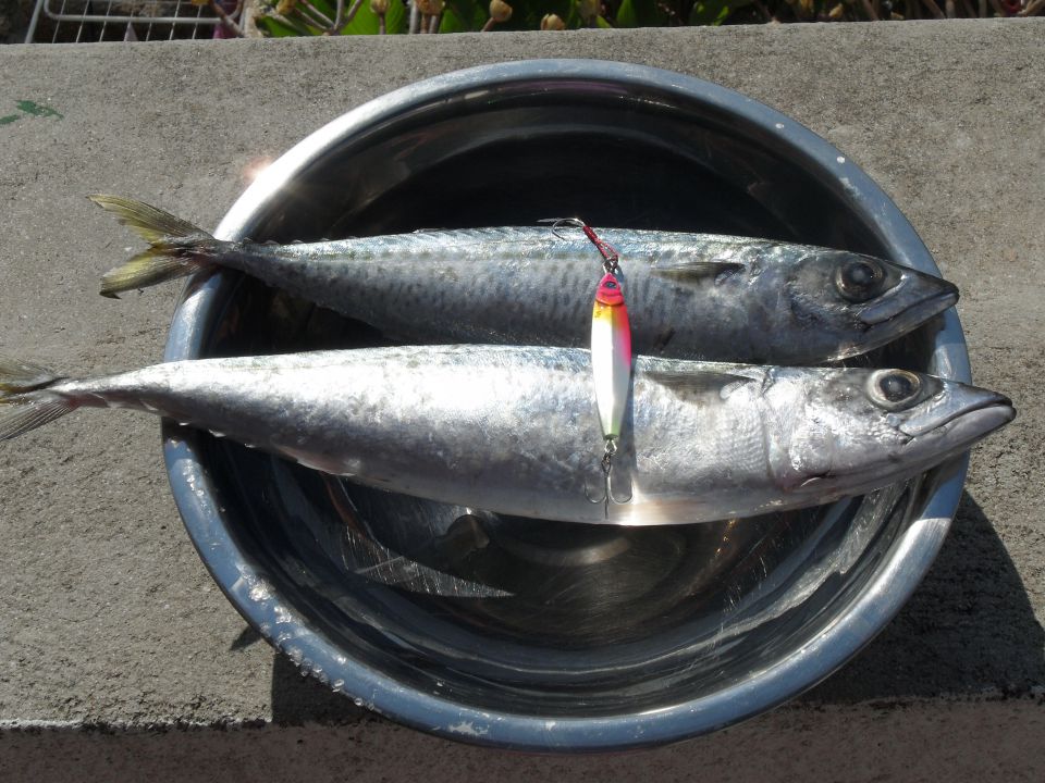Shore jigging - foto povečava