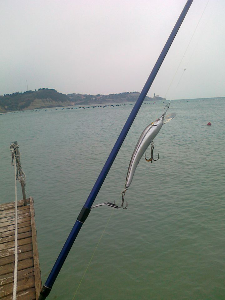 Shore jigging - foto povečava