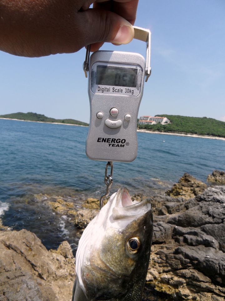 Shore jigging - foto povečava