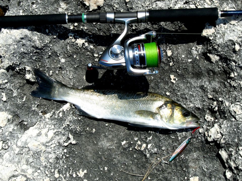 Shore jigging - foto povečava