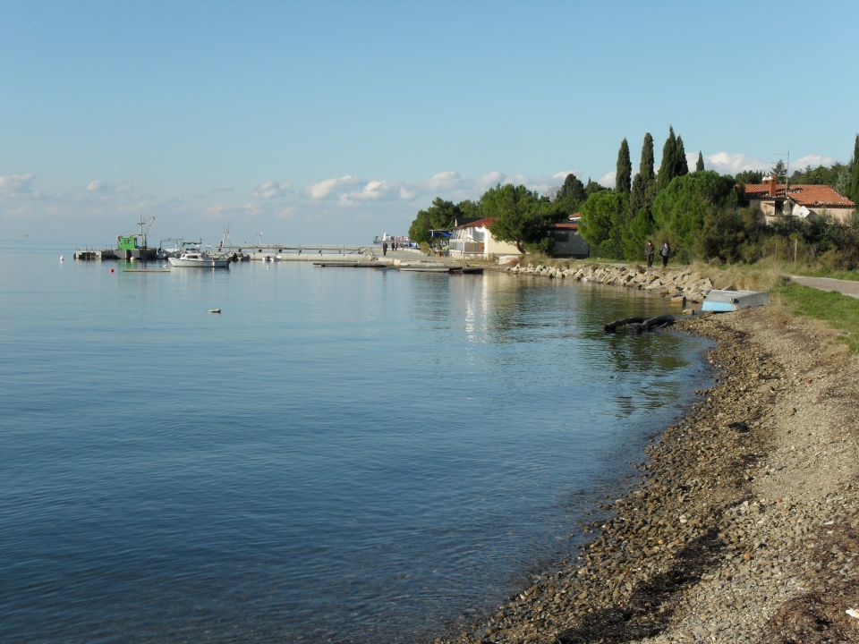 Shore jigging - foto povečava