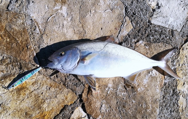 Shore jigging - foto povečava