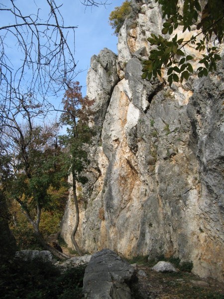 stena nad jezerom na JZ pobočju Črnega hriba...okolje in tudi rastlinstvo sta izrazito kra