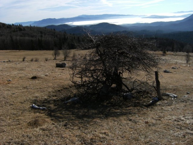 Pogled z gornjega roba Podkrajskih Strelic proti Pivškim Javornikom, ki se dvigajo iz megl