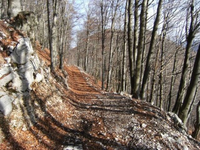 Gozdarska vlaka - podaljšek gozdne ceste, ki se konča na sedlu med Streliškim vrhom in Sre