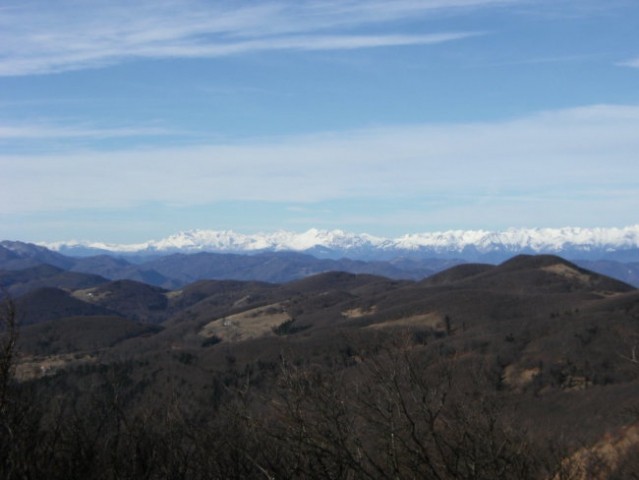 Panorama Julijskih Alp s Streliškega vrha, v prednjem planu na desni Javornik ( 1270 m/nm 