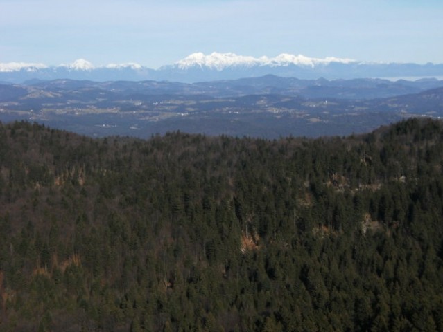 Kamniške Alpe z vrha Žgonovega škola na severnem pobočju Streliškega vrha...