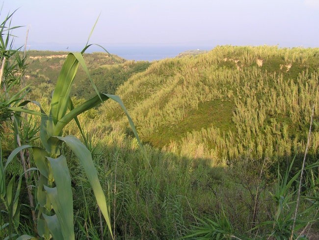 Susak- zaradi posebne sestave tal ( mivka ) je otok povsem samosvoj in poln zelenja