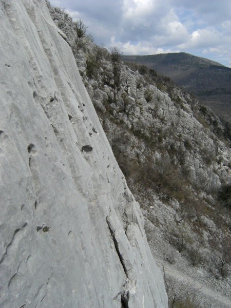 še vedno na drugem grebenu; platki na sliki sem se sicer izognil v levo, a bi se jo dalo p