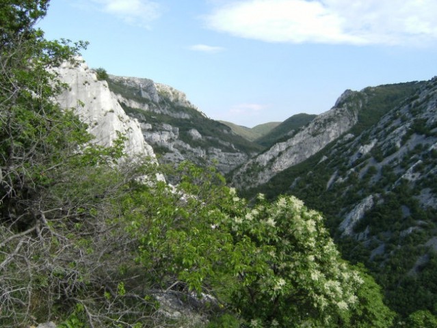 Dolina Glinščice je zaščiten naravni rezervat...