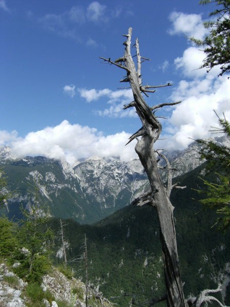 Viharnik na vrhu Kope, zadaj gore nad zatrepom doline Kamniške bistrice