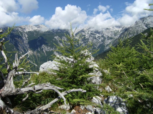 Na vrhu Kope; pogled na gore nad koncem doline Kamniške bistrice