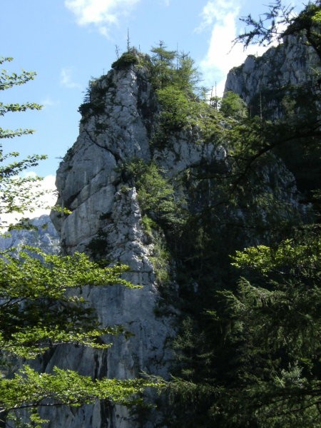 Poraščeni skalni stolp v bližini sedelca pod vrhom Kope...