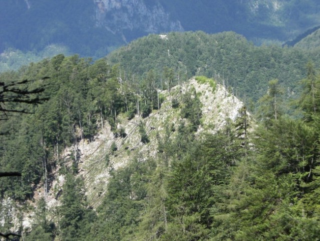 Pogled s police, po kateri poteka gornji del Martin steze na vrh Kope ( gola piramida sred