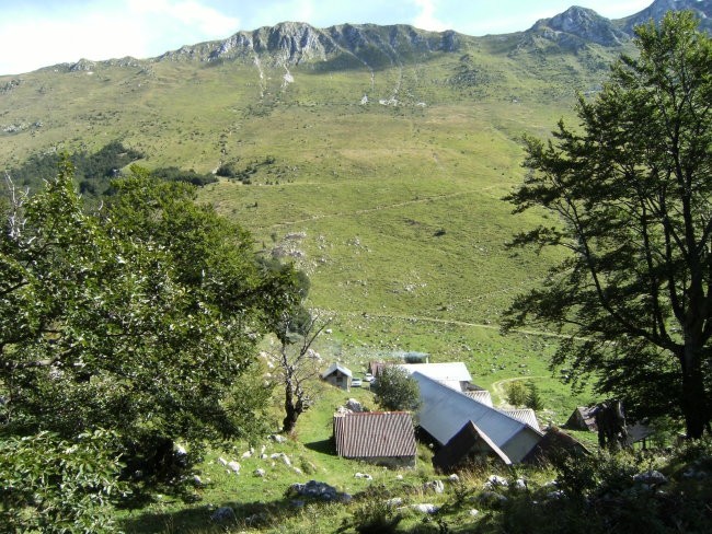 planina Zaprikraj - za pastirskimi stanovi ujamemo slabo markirano stezo, ki mimo lovske k