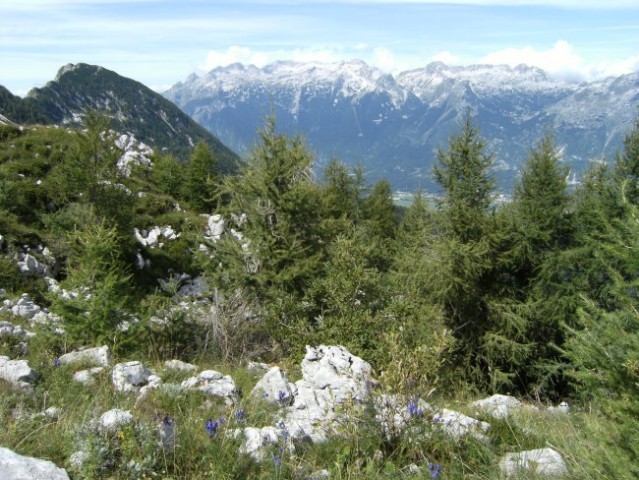 Kaninsko pogorje, levo Pirhovec v grebenu Polovnika...Polovnik se imenuje dolg greben, ki 