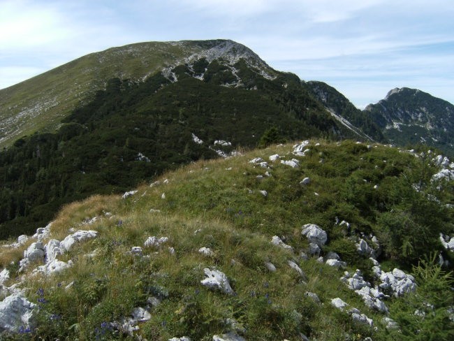 Krasji vrh ( 1774 m ) z debeljaka ( 1528 m )