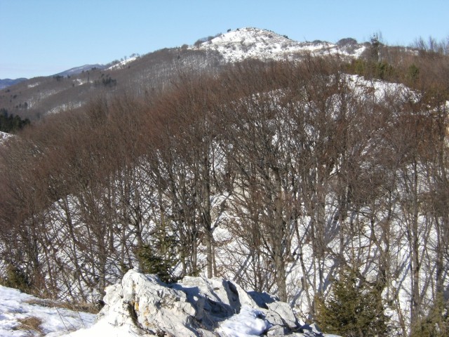 Sinji vrh ( 1006 m ) 