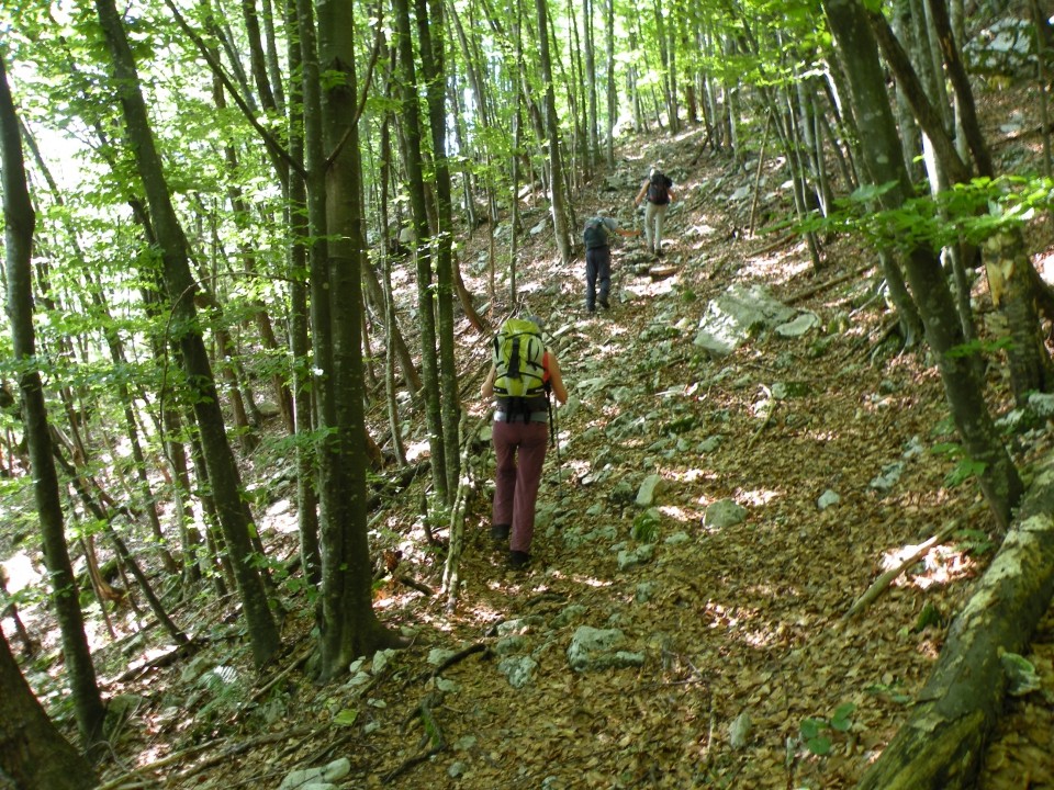 trasa je v bližini planine Zaslape kar dobra, saj se deloma pokriva z normalnim pristopom 