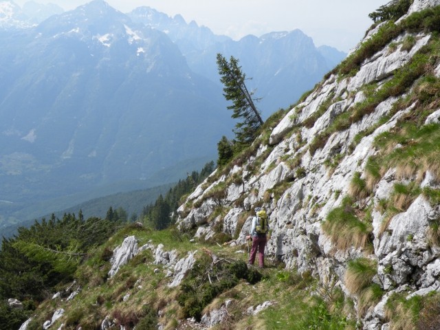 Del mulatijere z vrha Lipnika do planine Golobar ( Lipnik Weg ) je sicer kar lepo ohranjen