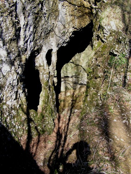 Narava - nedoumljiva stvarnica ( skalni steber, posledica delovanja vodne erozije )