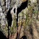 narava - nedoumljiva stvarnica ( skalni steber, posledica delovanja vodne erozije )