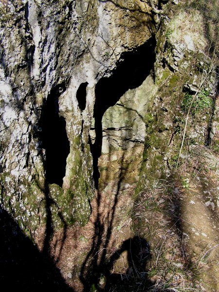 narava - nedoumljiva stvarnica ( skalni steber, posledica delovanja vodne erozije )