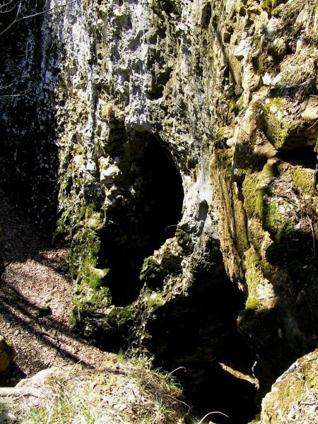 Kraški svet v okolici Kozine skriva številne zanimivosti, kot je naprimer ta zanimiva skal