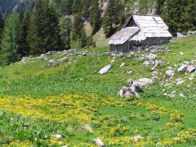 Pastiraski stan na planini Viševnik pod vrhom Pršivca