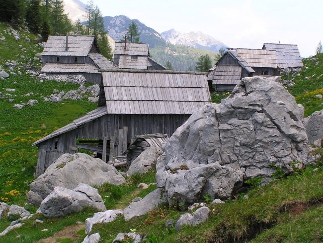 stanovi na planini Viševnik ( cca 1650 m/nm )