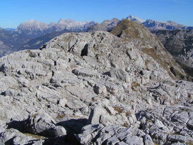 Griva na sliki s travnatim vrhom Lemeža ( 2043 m ) v ozadju; med skalovjem na sliki najdem