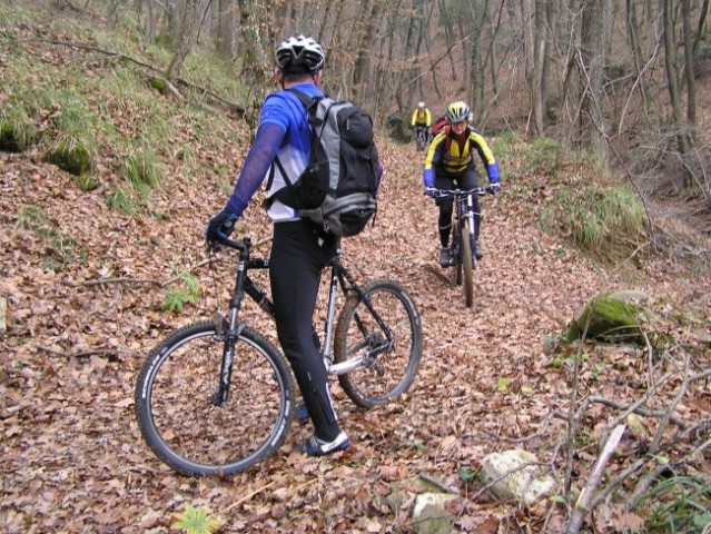 V redkem kraškem gozdu je bilo dovolj stezic, ki so omogočale prijetne kolesarske prehode 