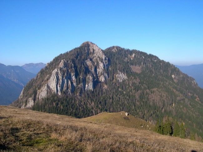 Veliki rogatec ( 1557 m ) z vrha Lepenatke ( 1422 m ) je najvišji vrh sredogorja, ki se s 