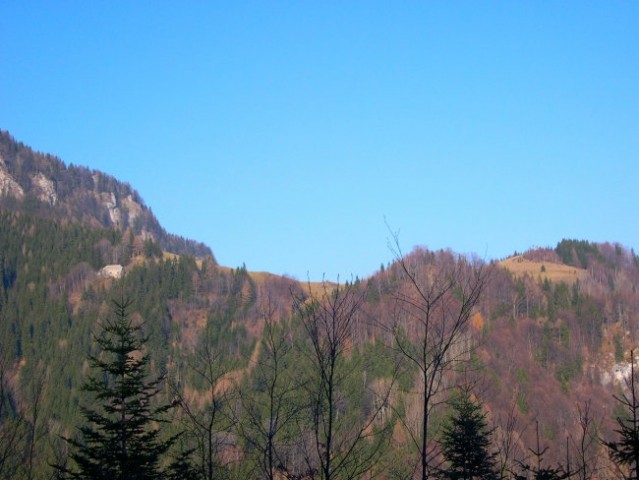 Pogled z gozdne ceste pod Lepenatko ( deset minut hoje nad izhodiščem ture ) proti zapušče
