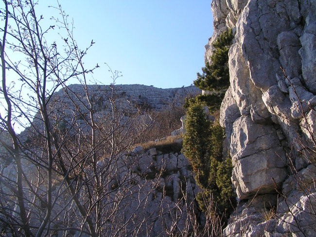 Pogled navzgor - proti grebenom Male gore s srednječavenske poti; slednja s svojimi slikov