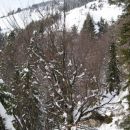 Zimska idila na Dobrči