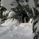 Veje so se šibile pod težo novozapadlega snega, precej drevja je bilo polomljenega...