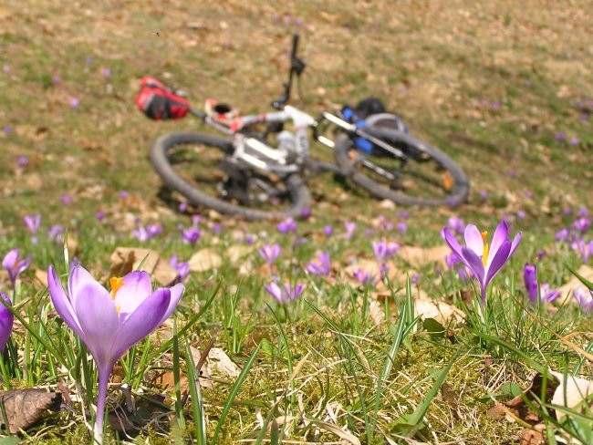 kolesarska pomlad