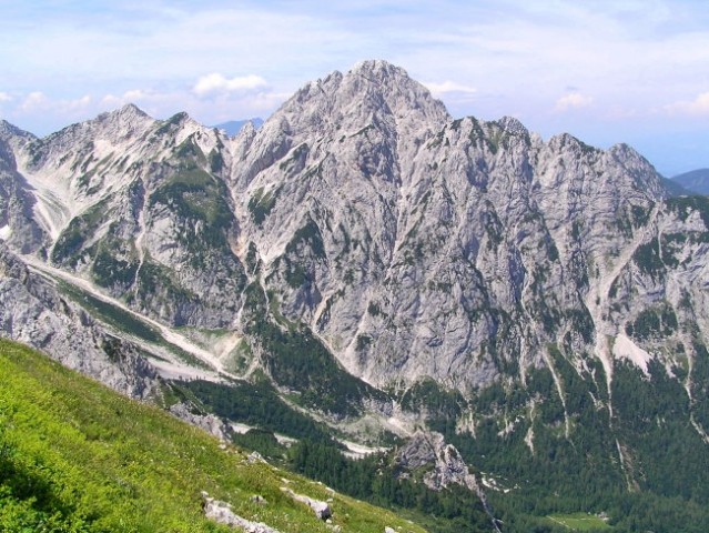 Pogled s steze na SV pobočju Brane proti Mrzli gori 
( 2202 m / nm ) nad Okrešljem ( trav