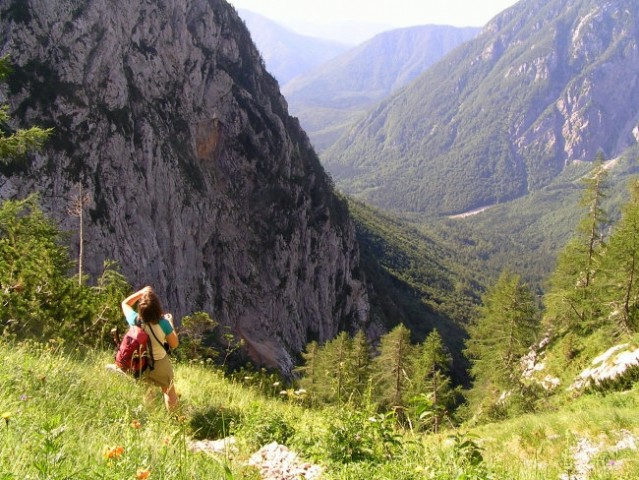Pogled z lovske steze čez Žmavcarje na višini približno 1400 metrov; levo ostenje Brane, v