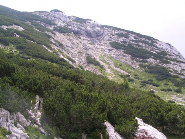 Pobočja Deske ( 1970 m nm ), vzpetine z veliko travno uravnavo na vrhu, ki se dviga nad Vo