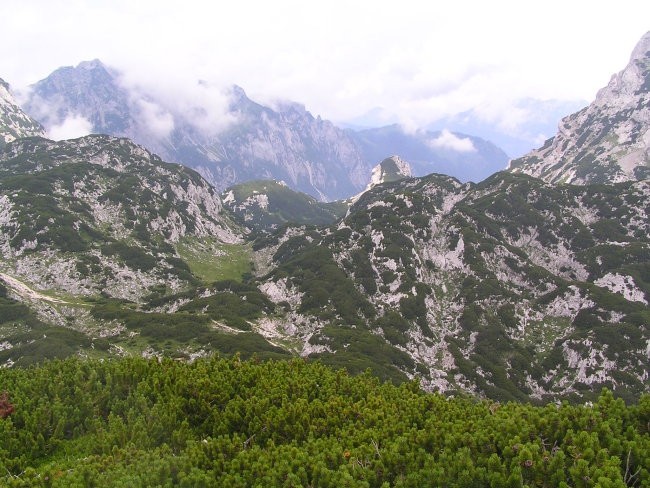 pogled z najvišje točke Ovčjega vrha proti severo - vzhodu; na desni strani SZ greben Veli