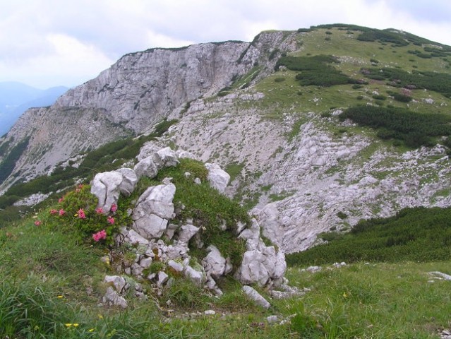 Pogled na Desko ( 1970 m nm ) s pobočij sosednjega Ovčjega vrha ( 1980 m nm ), na levi str