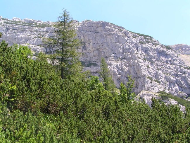 pogled na zahodno ostenje Deske ( 1970 m nm ) z lovske steze v bližini našega bivaka