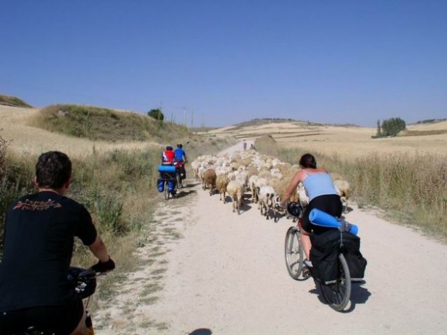 Španija - Camino de Santiago - foto