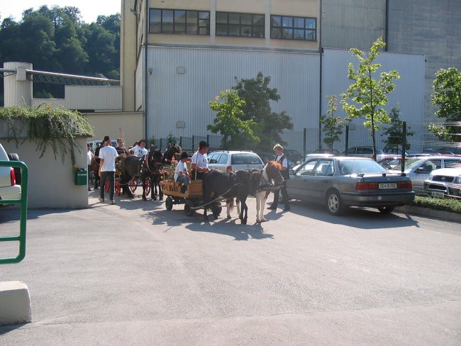 Pivo in cvetje - foto povečava