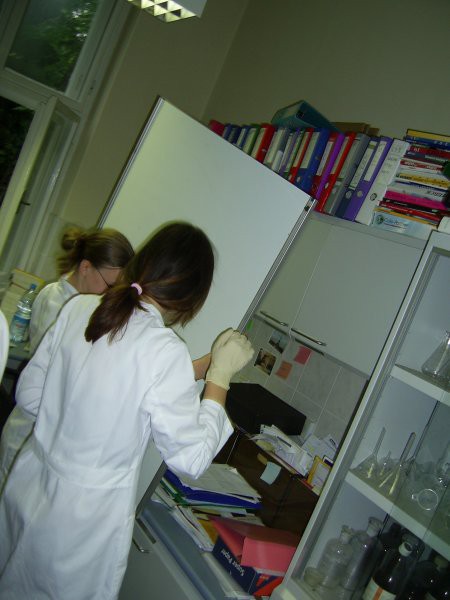 Medicinska fakulteta - 22.-24.5.2006 - foto povečava