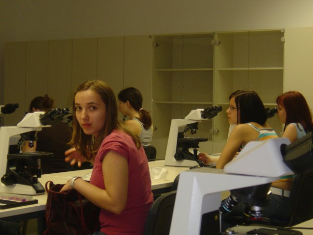 Medicinska fakulteta - 23.5.2006 - foto